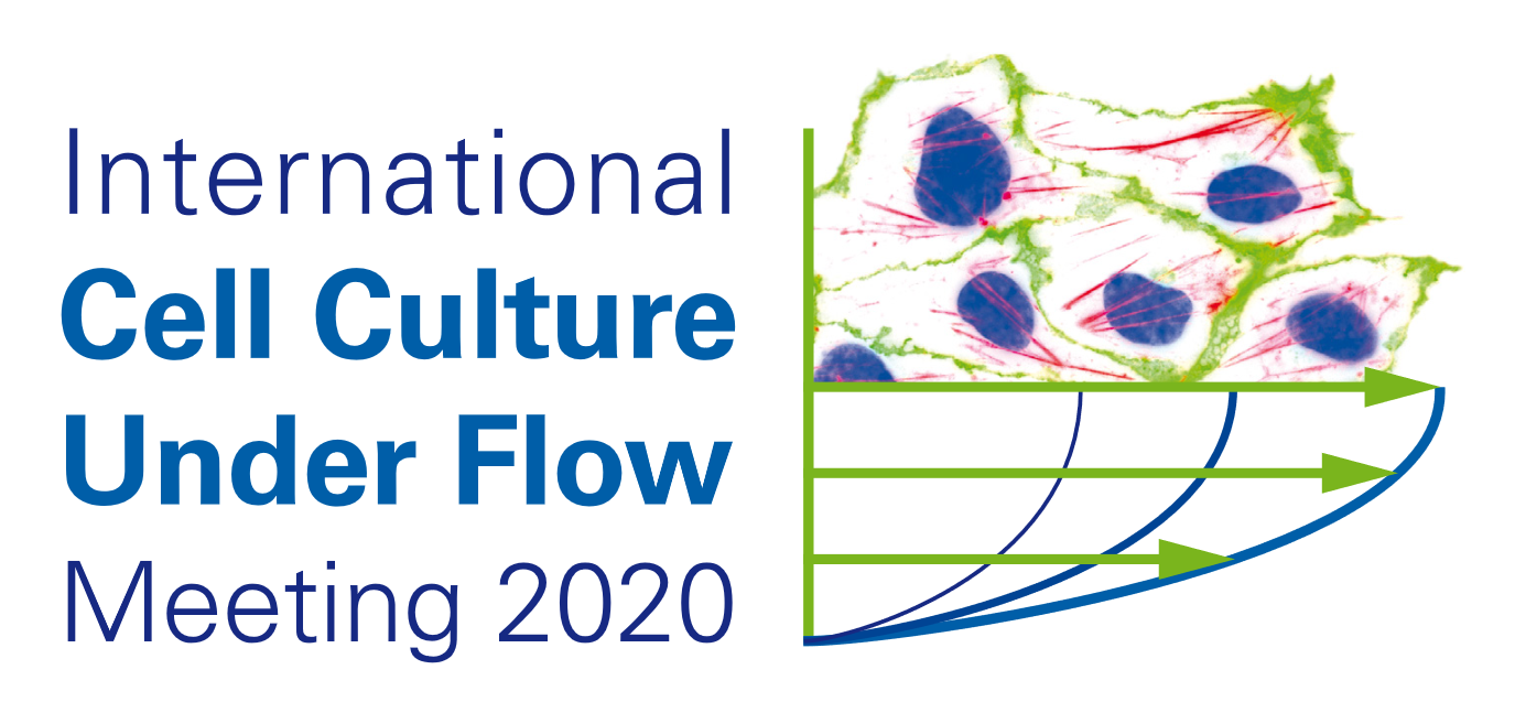 Networking auf dem International Cell Culture Under Flow Meeting 2020