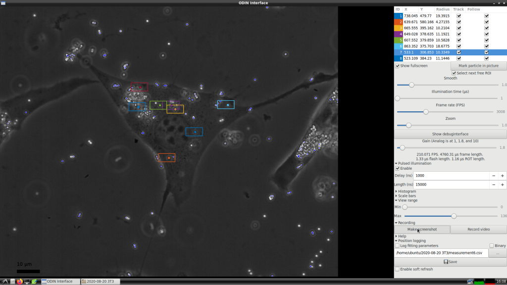 screenshot ODIN tracking interface with mouse fibroblast