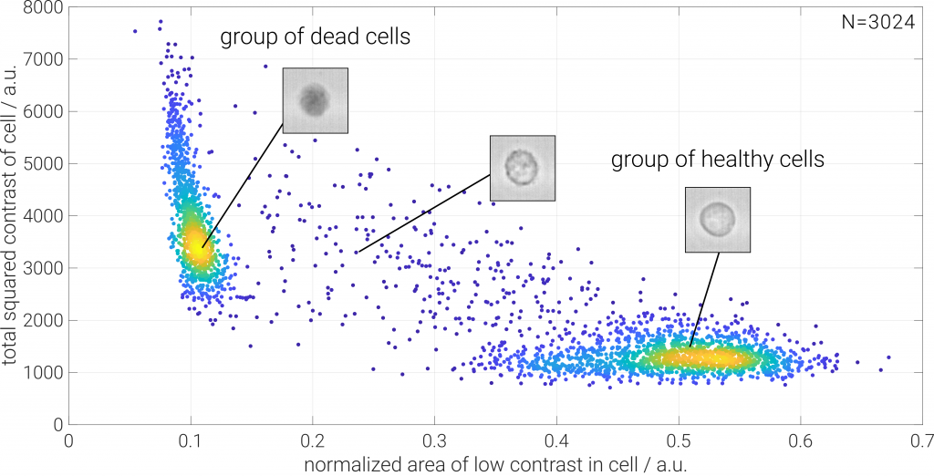 dead cell counting using trypan blue and ODIN